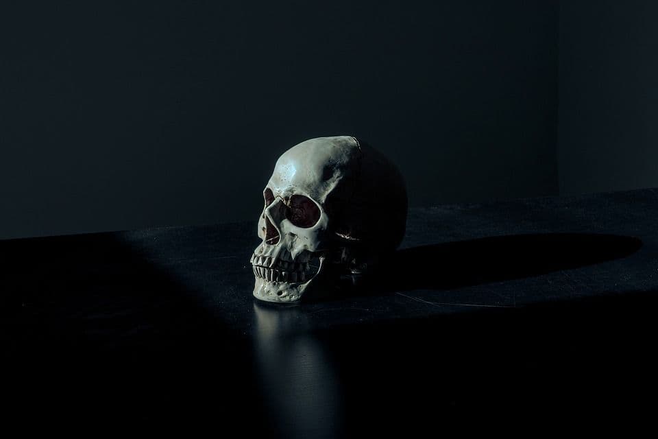 Skull Tattoo, auch Totenkopf-Tattoo genannt.