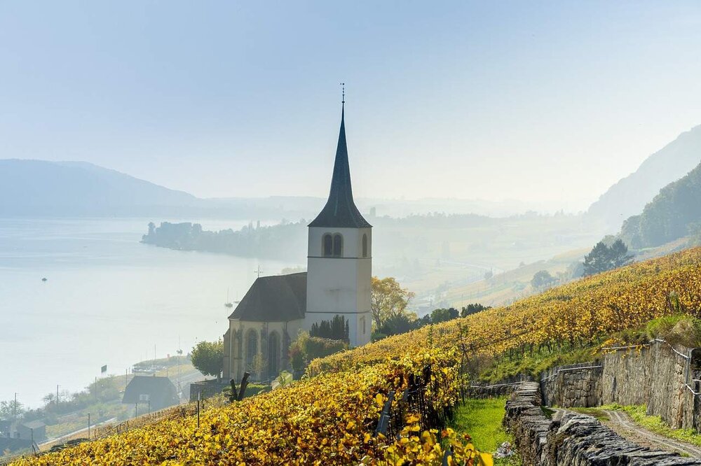 Stadtansicht von Biel/Bienne